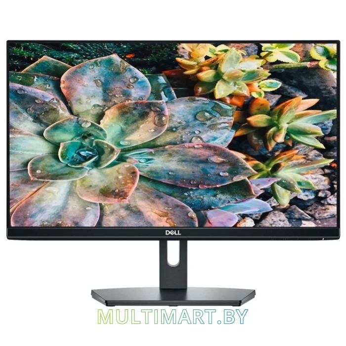 Монитор Dell SE2219H